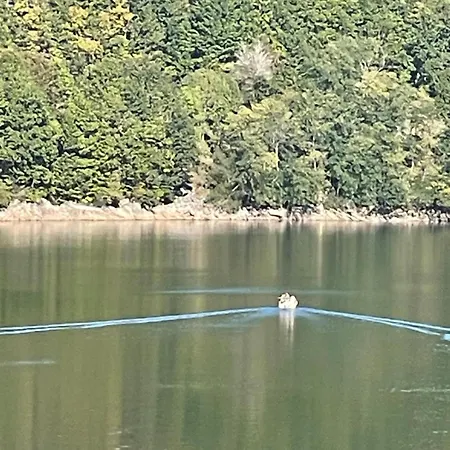 Large Charming House Surrounded By Nature *