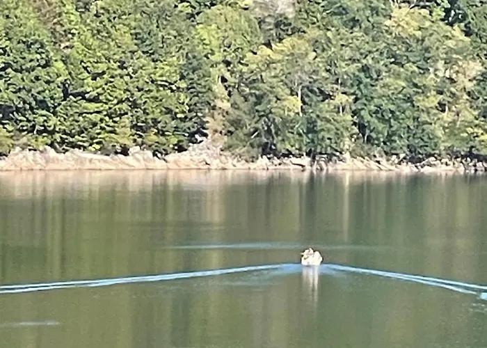 Large Charming House Surrounded By Nature Brassac