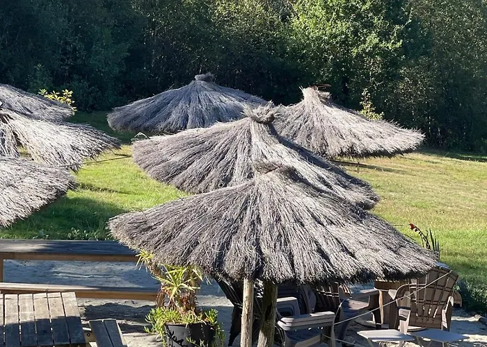 別荘 Large Charming House Surrounded By Nature Brassac